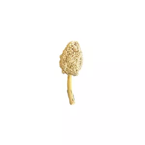 تشویقی گل گندم ذرت مخصوص پرنده و طوطی سانان