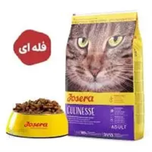 غذا خشک گربه مدل کولینس جوسرا۱ کیلوگرم (فله)