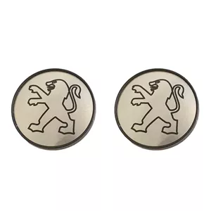 درپوش رینگ قطعه سازان کبیر مدل RING-206-969 مناسب برای پژو 206 مجموعه 2 عددی | نقره ای