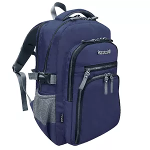 کوله پشتی لپ تاپ فوروارد کد 6007LPB مناسب برای لپ تاپ 14 تا 15.6 اینچی بنفش