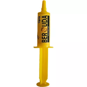 خمیر سوسک کش برسودا مدل S600 وزن 100 گرم