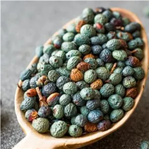 بنه پسته کوهی با پوست 500گرم