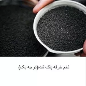 تخم خرفه 200گرم (کاملا پاک شده و تمیز)