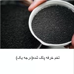 تخم خرفه -وزن 200 گرم (کاملا پاک شده و تمیز)