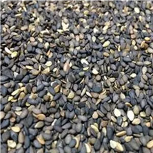 کنجد بو داده بی نمک 200گرم