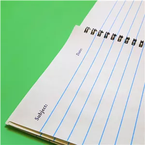 دفتر مشق طرح فیلم لئون کد D-20027 مشکی