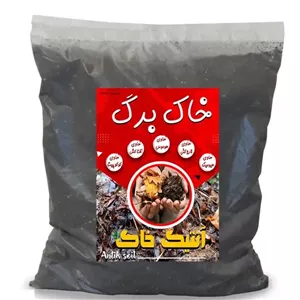 خاک برگ آنتیک خاک مدل 4ltr وزن 2 کیلوگرم