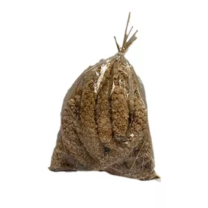 ارزن خوشه ای و تشویقی مخصوص طوطی سانان