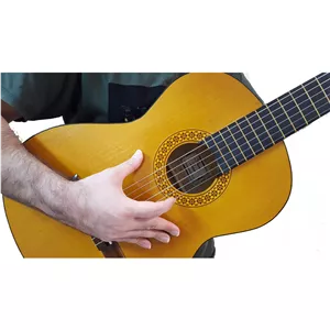 گیتار مدل Rodrigers Ak80 کرم