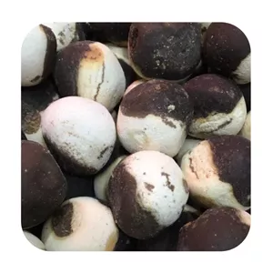 کشک و قره قروت 500گرم