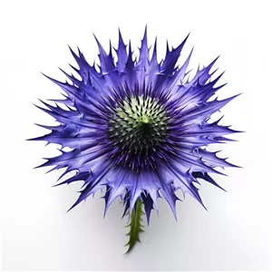 بوقناق 60 گرم