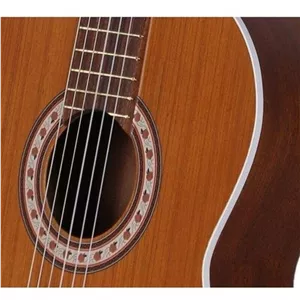 گیتار پارسی m5 همراه با کیف ضد ضربه و پیک(مضراب گیتار)