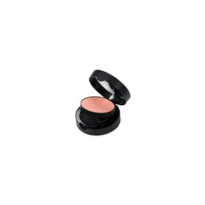 رژگونه نوت – لومینوس سیلک رنگ 02 | Note Luminous Silk Compact Blusher
