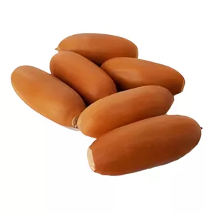 میوه بلوط 75 گرم