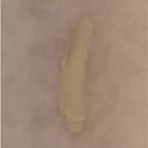 کرم پودر vfx pro فارماسی کد N12