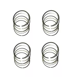 رینگ ریک کد 61224 مناسب برای پژو 206 تیپ 2 بسته 20 عددی