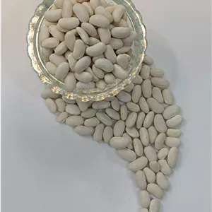 لوبیا سفید درجه یک (1کیلوگرم)