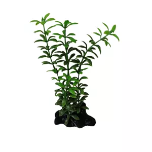 گیاه تزیینی آکواریوم مدل الترا 17 | آبی