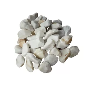 سنگ تزیینی آکواریوم مدل W.S02 وزن 0.5 کیلوگرم | سفید