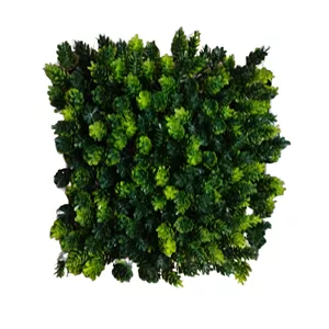 چمن مصنوعی آکواریوم مدلZb کد 22
