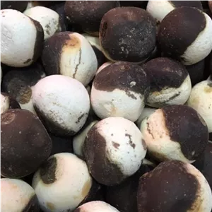 کشک و قره قروت250 گرم