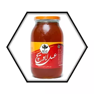 عسل دنا لاویچ ۹۱۰ گرمی