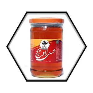 عسل دنا لاویچ ۳۳۰ گرمی