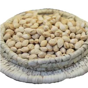 بادام محب خام بابیلو