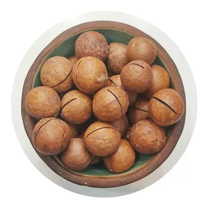 ماکادمیا فندق استرالیا 500 گرم