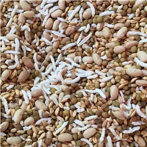 آجیل سلامت1000گرم (شاهدانه گندم سویا برنجک عدس)