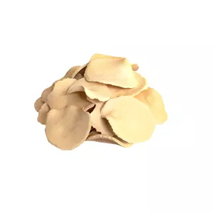 کشک چیپسی  400 گرم