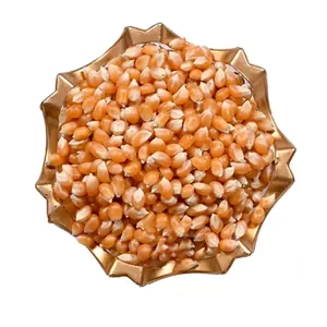 دانه ذرت ارگانیک آفریقای جنوبی 500  گرم