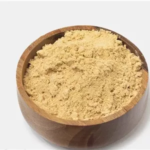 پودر زنجبیل ۱۰۰ گرم