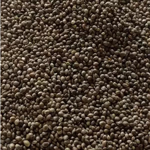 شاهدانه خام 500 گرم