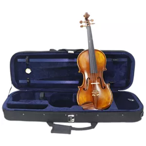 ویولن فندر رزوود سایز 4/4 (جعبه مستطیل)