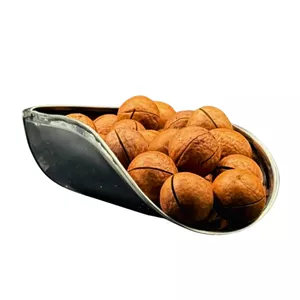 ماکادمیا مزبار - 500 گرم