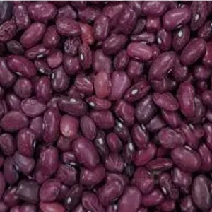 لوبیا قرمز فله 450 گرم