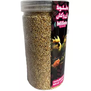 مخلوط ارزن و کتان ضدعفونی شده