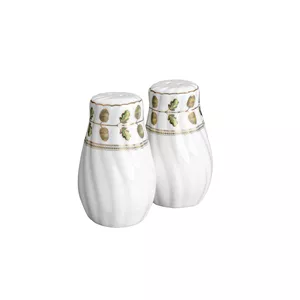 نمکدان گلدکیش طرح رویسا کد GK701103-2 ست 2 عددی