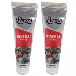 خمیر مینرال سگ پرسا مدل Mineral Paste وزن 100 گرم بسته 2 عددی