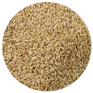 گندم پرنده 1کیلوگرم