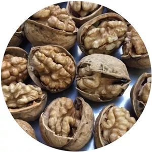 گردو با پوست کاغذی 2000گرم 2کیلویی