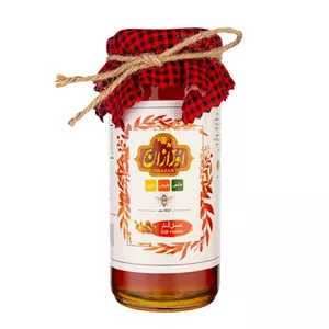 عسل کنار 650 گرم اورازان