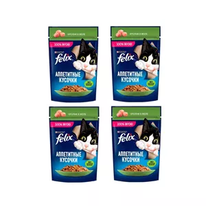 پوچ گربه فلیکس با طعم خرگوش در ژل 75 گرم پک 4 عددی