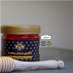 عسل طبیعی گون گالری عسل بهار (500 گرمی)