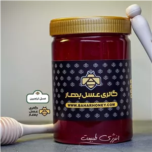 عسل طبیعی ترنجبین گالری عسل بهار (1000 گرمی)
