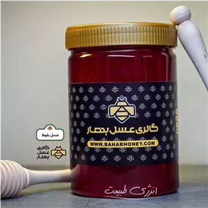 عسل طبیعی بلوط گالری عسل بهار (1000 گرمی)
