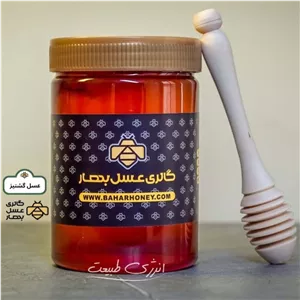 عسل طبیعی گشنیز گالری عسل بهار (1000 گرمی)