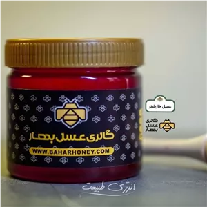 عسل طبیعی خارشتر گالری عسل بهار (500 گرمی)
