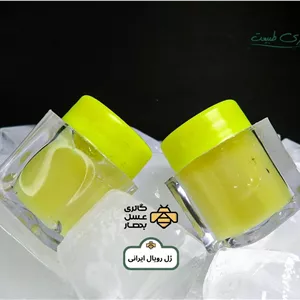 ژل رویال ایرانی گالری عسل بهار (10 گرم)